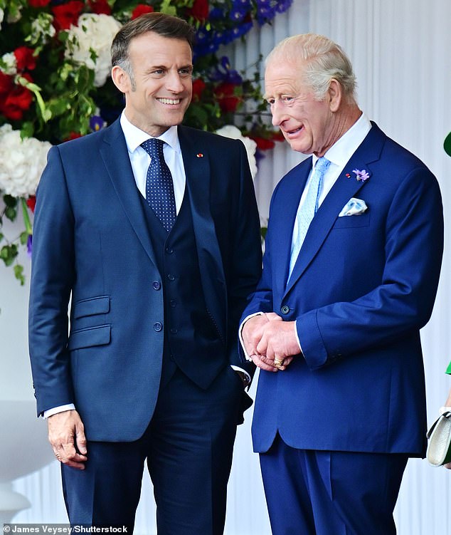 King Charles (pictured with Emmanuel Macron) appeared to have a small sprig of Catananche caerulea - a flower native to the South of France and commonly known as Cupid's Dart - pinned to his lapel