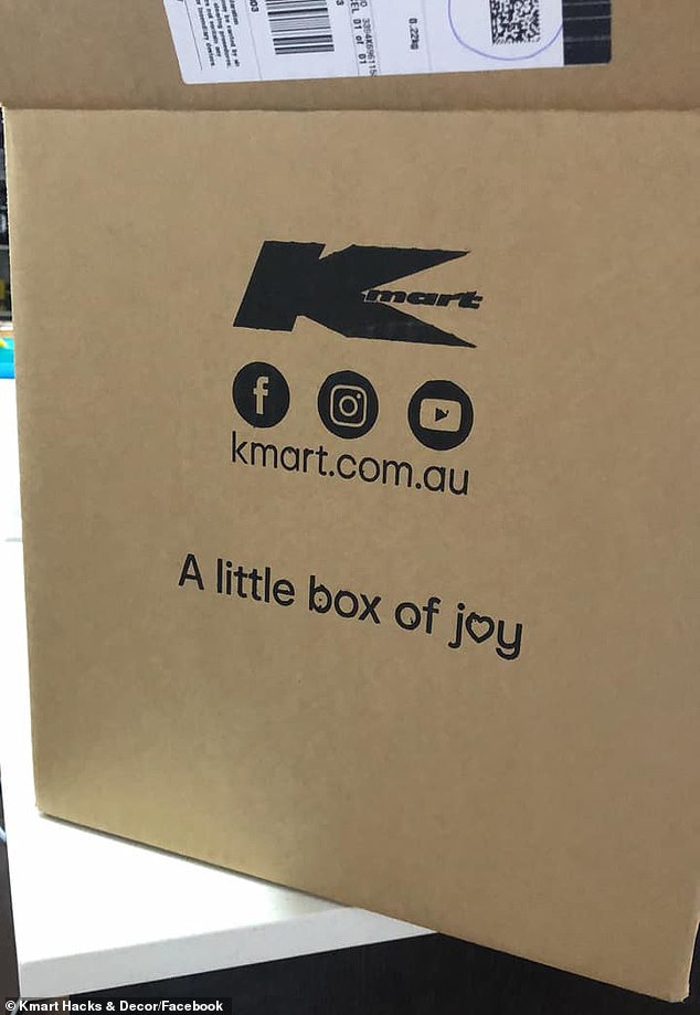 A Kmart Australia shopper asked whether larger items purchased online were sent out in a non-descript brown box, as above, or if they were sent in the original shelf packaging with the product name and item clearly visible