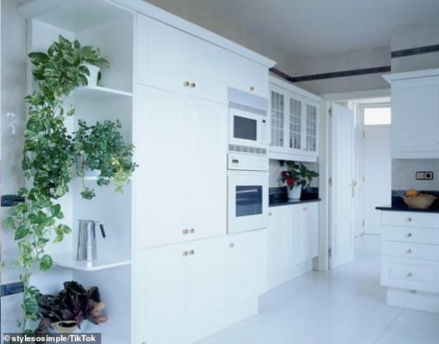 I'm an interior designer and you should stop using white paint in your homes
