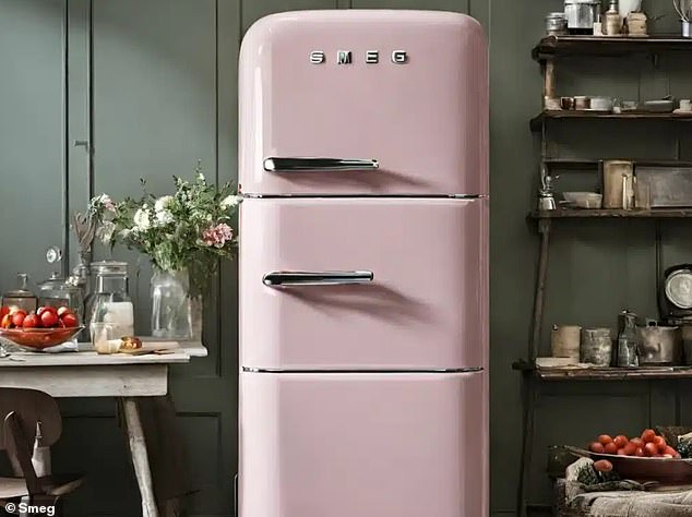 Has 'Stagflation' hit the kitchen? Smeg, most famous for its retro style fridges, says it has seen a slump in demand, with Managing Director Daniel Hadley blaming 'challenging' marketing conditions