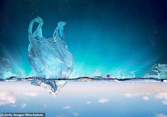 Tiny bits of plastic are causing toxic effects in all ecosystems and, perhaps most alarming, is that microplastics have been detected in human blood, lungs and even the placenta