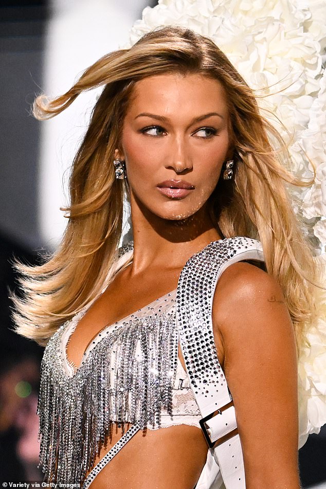 Bella Hadid has been targeted by internet trolls over 'problematic' social media posts from her past