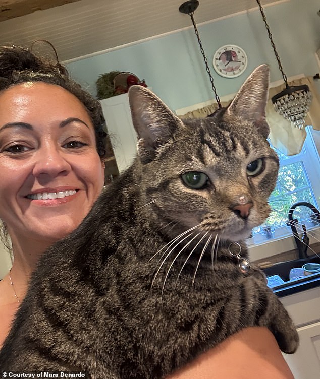 A woman whose cat traveled over 100 miles at highway speeds on the roof of her car has recalled the 'terrifying' moment that she discovered the 'unfazed' feline